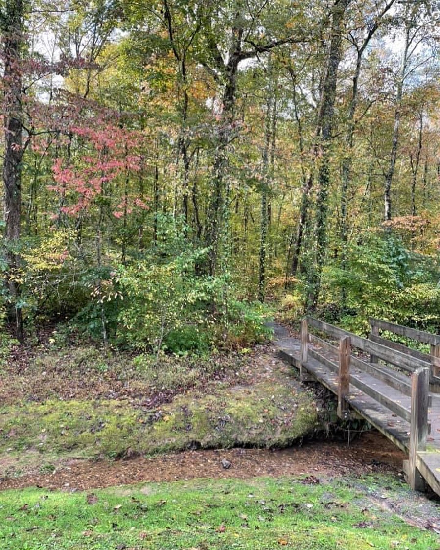 The Best DogFriendly Things to Do in North GA Blue Sky Cabin Rentals